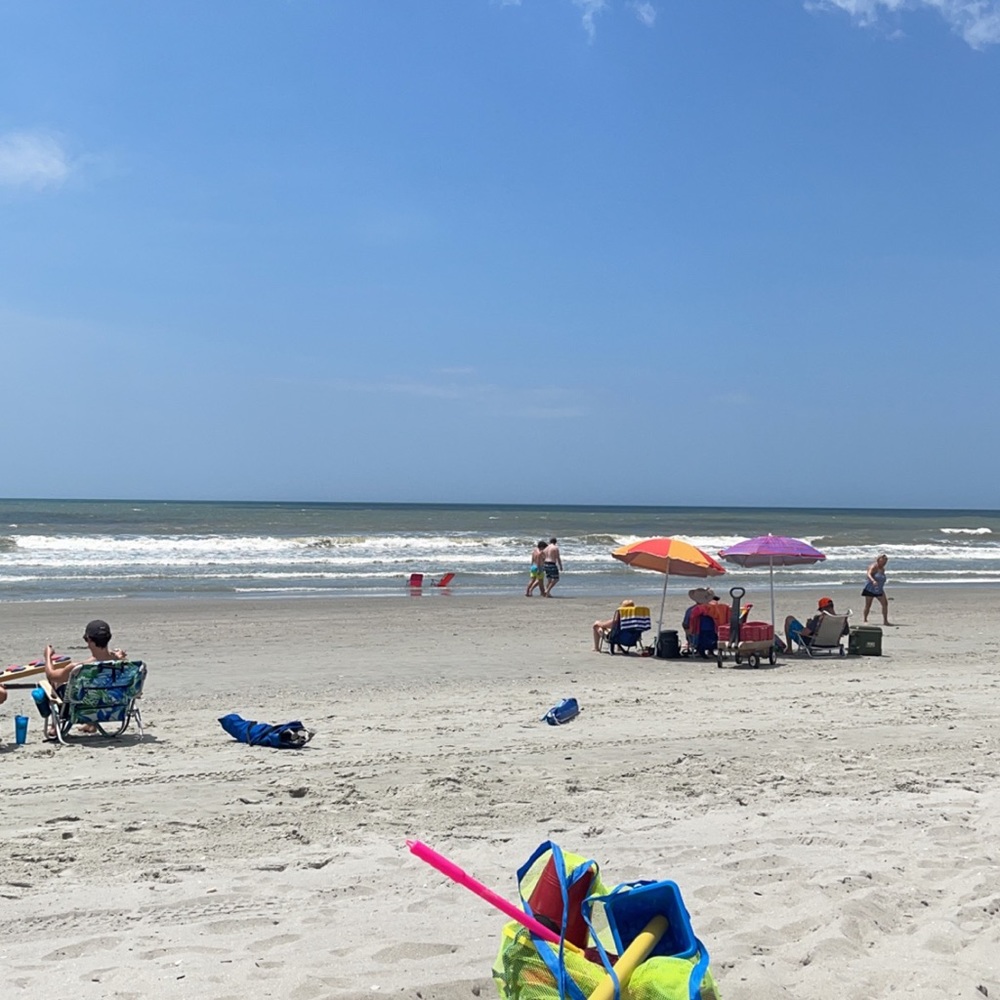 Meet your Posher, Allison